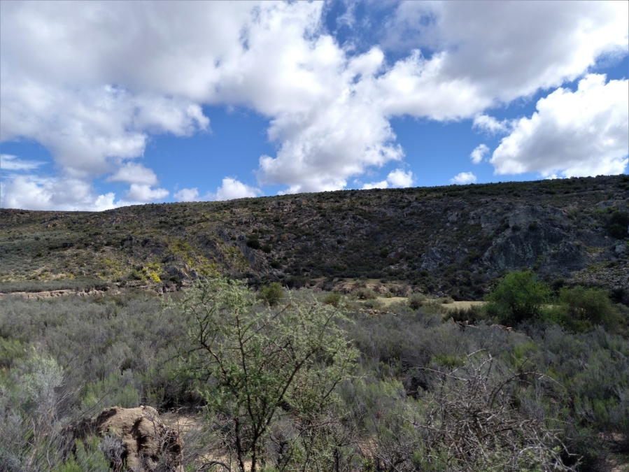 Commercial Property for Sale in George Rural Western Cape
